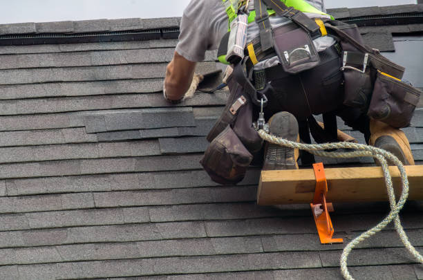 Roof Moss and Algae Removal in Salem, VA